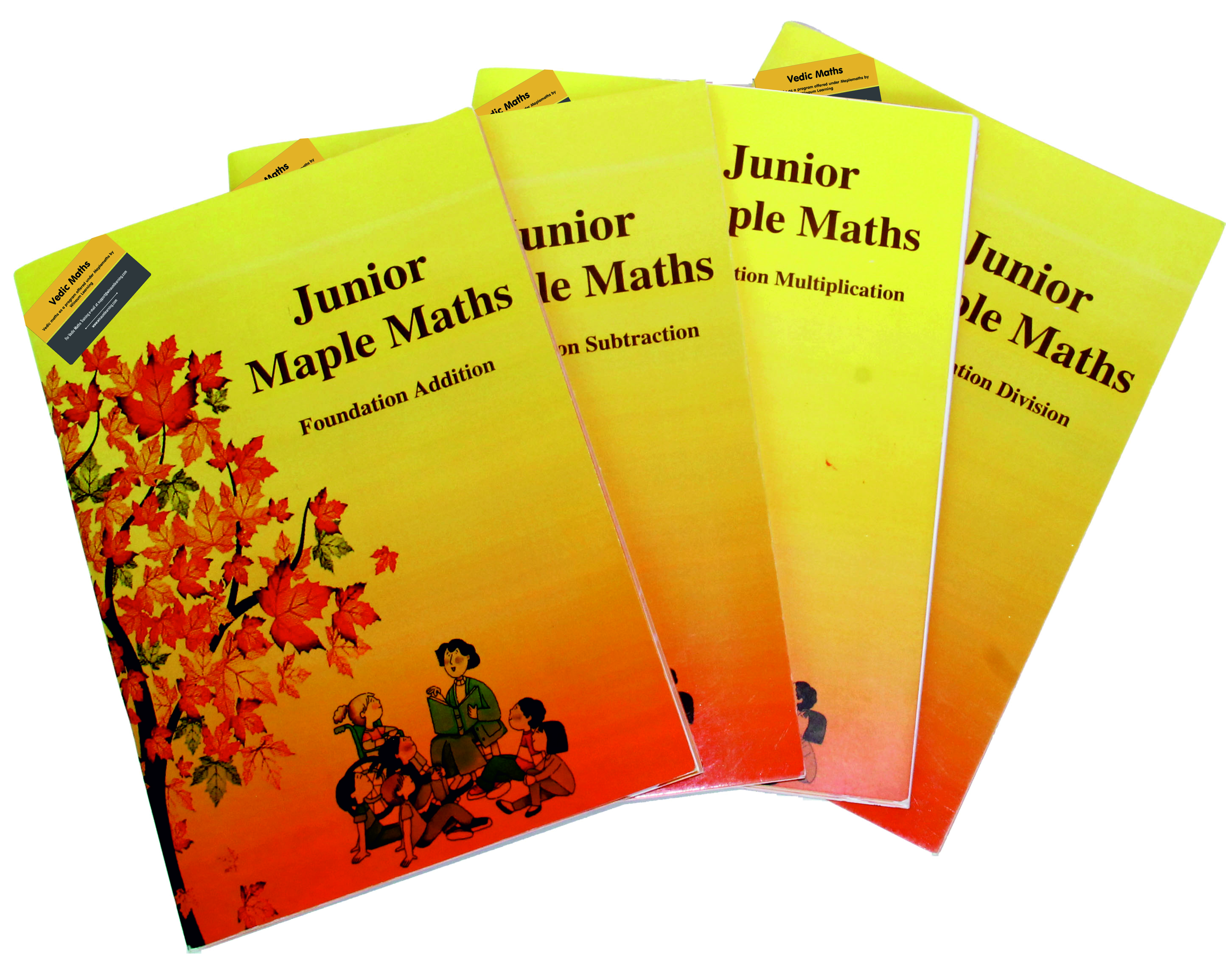 vedic maths book for junior students